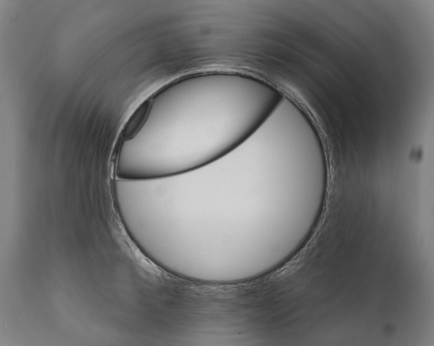 X0000111590900200908061347