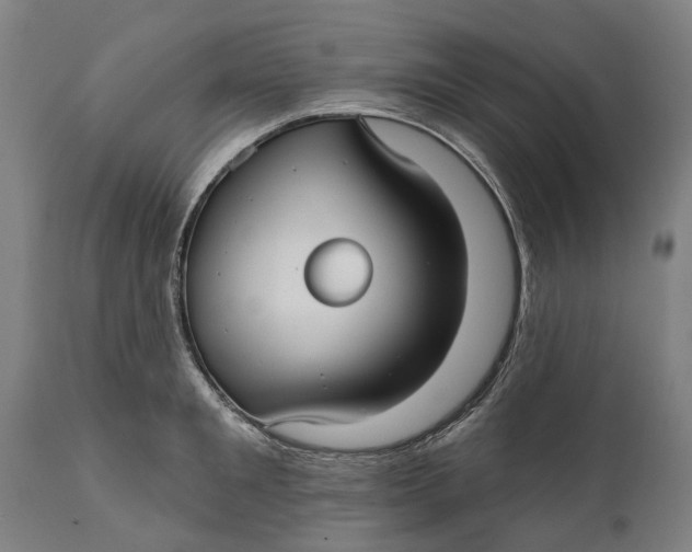 X0000111590901200908061346