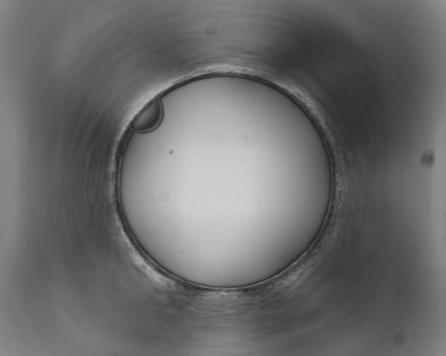 X0000111590902200908061346