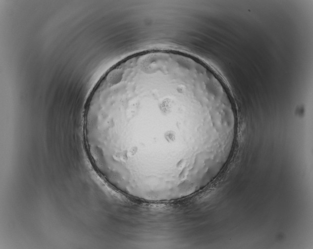 X0000111590903200908061346