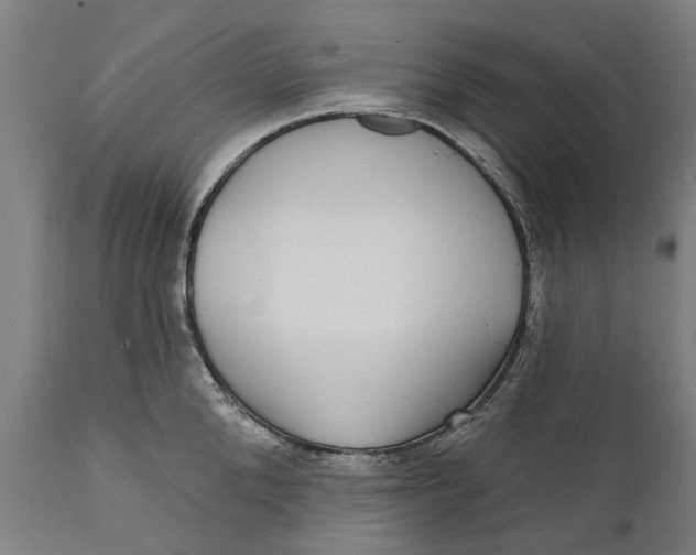 X0000111590904200908061346