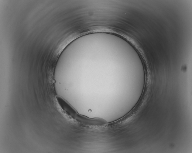 X0000111590905200908061346