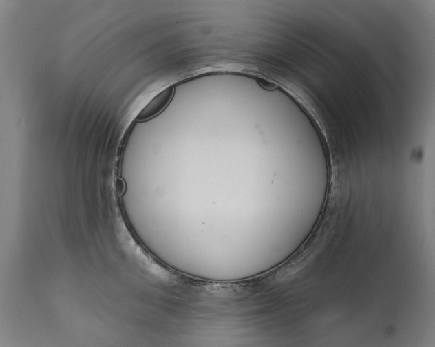 X0000111590906200908061346