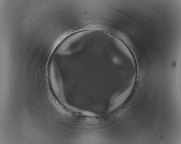 X0000111590907200908061346