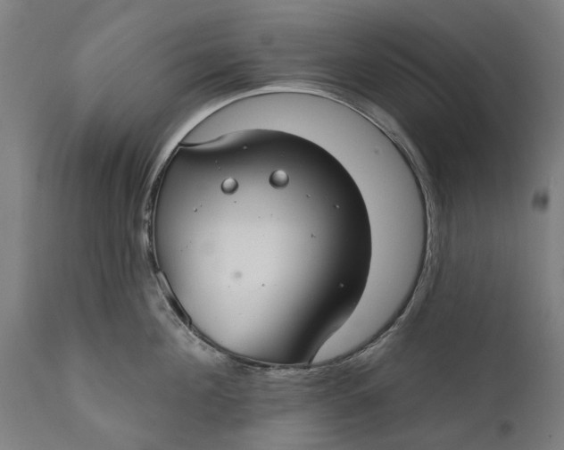 X0000111590908200908061346