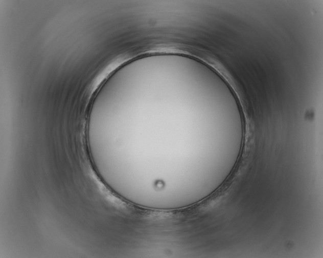 X0000111590909200908061346