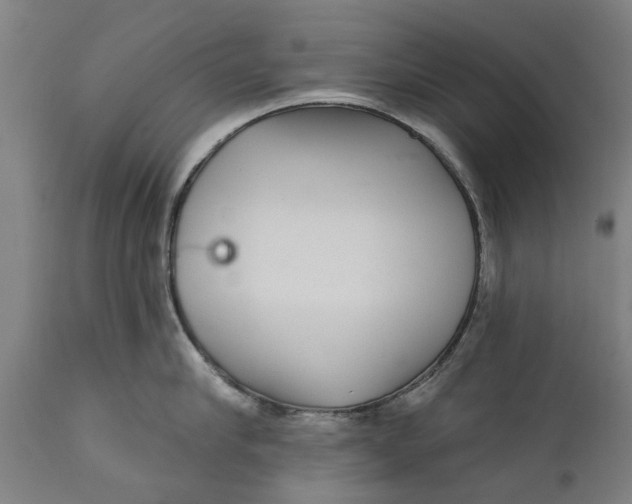 X0000111590910200908061346