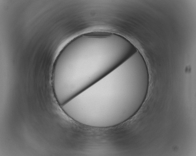 X0000111590912200908061346