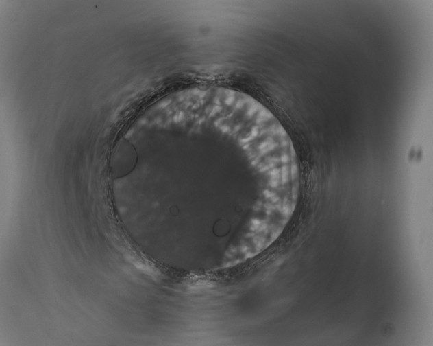 X0000111590913200908061346