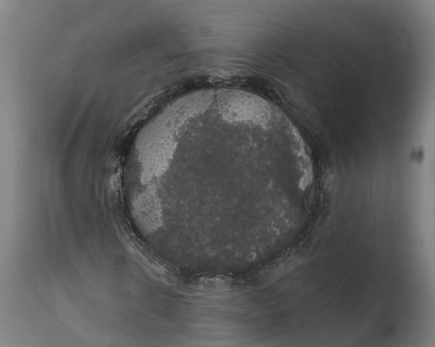 X0000111590914200908061346