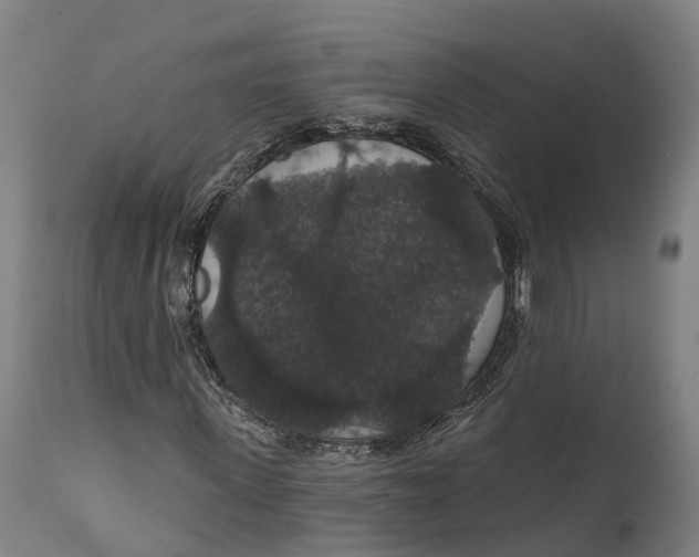 X0000111590915200908061346