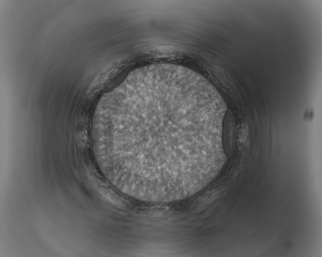 X0000111590916200908061346