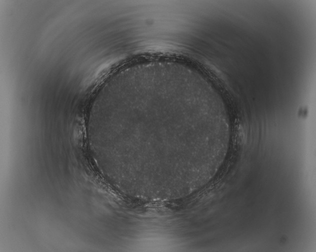 X0000111590918200908061346