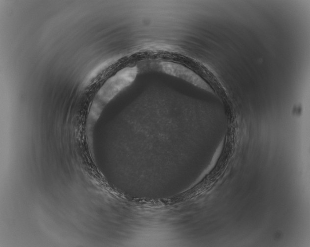 X0000111590919200908061346