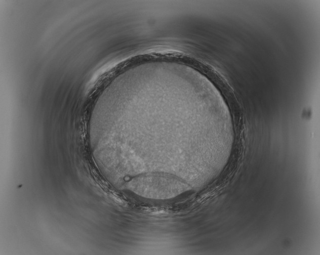 X0000111590920200908061346