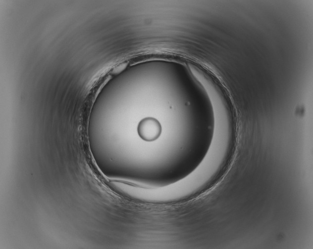 X0000111590922200908061346