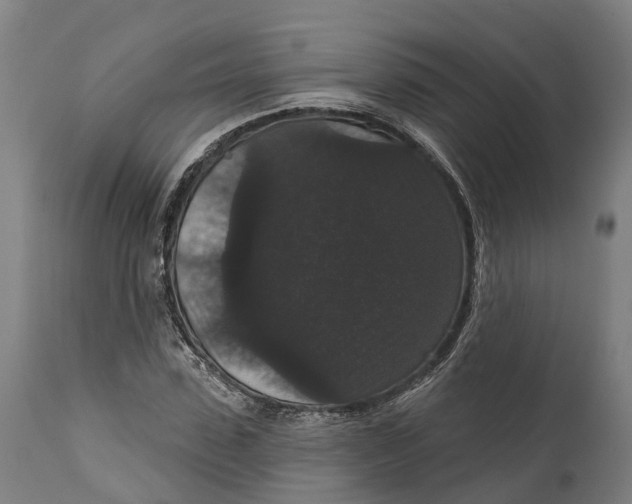 X0000111590923200908061346