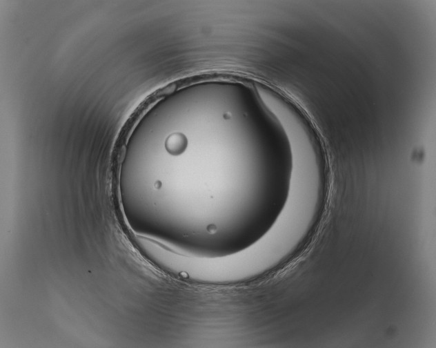 X0000111590924200908061346