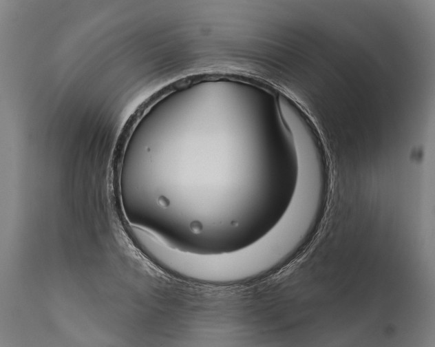 X0000111590928200908061346