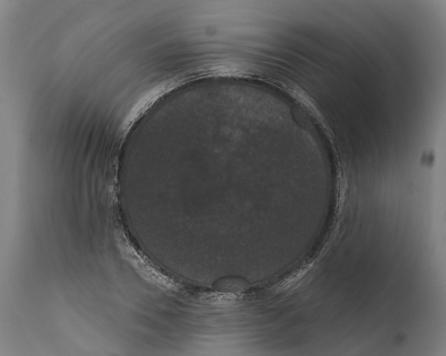 X0000111590930200908061346