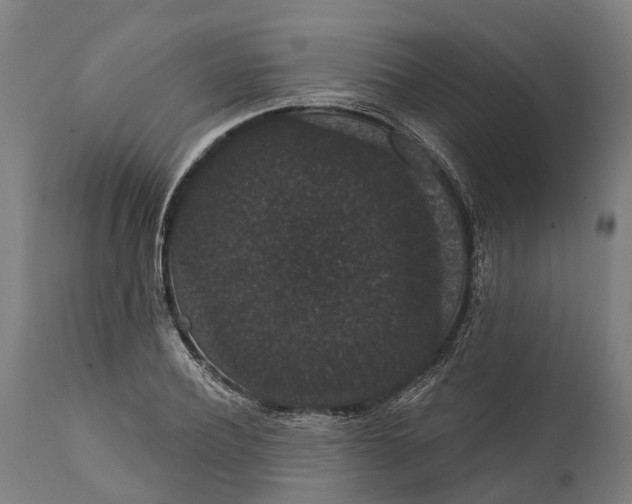 X0000111590932200908061346