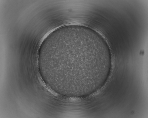 X0000111590933200908061346