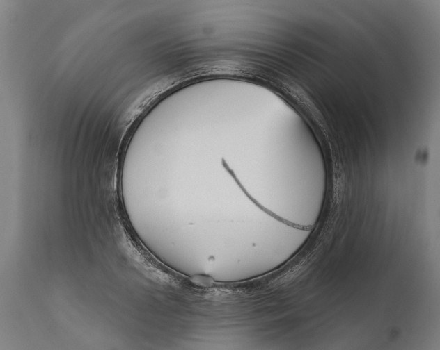 X0000111590938200908061346