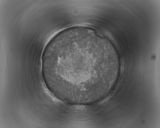 X0000111590940200908061346