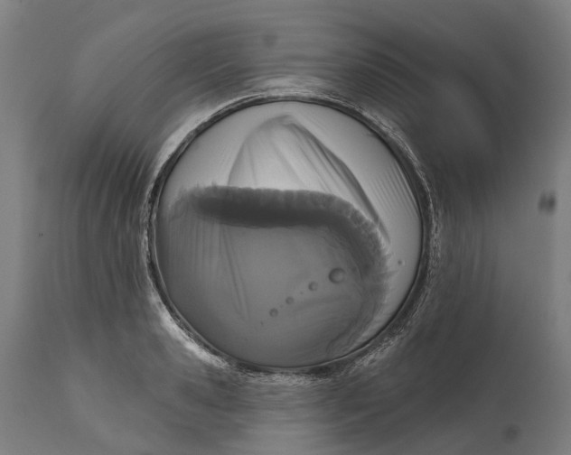 X0000111590941200908061346