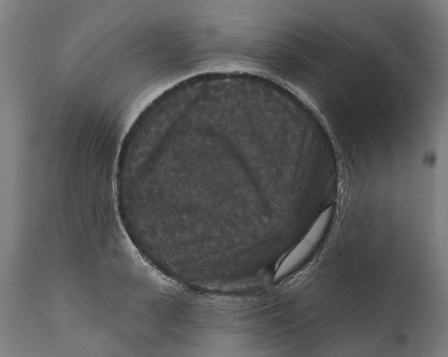 X0000111590943200908061346