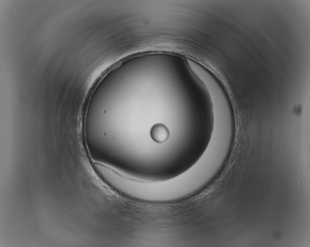 X0000111590944200908061346