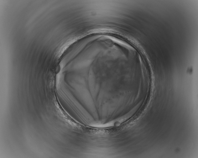 X0000111590945200908061346