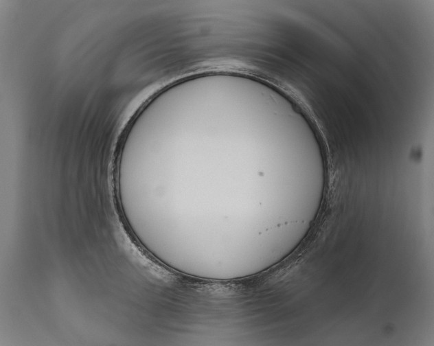 X0000111590947200908061346