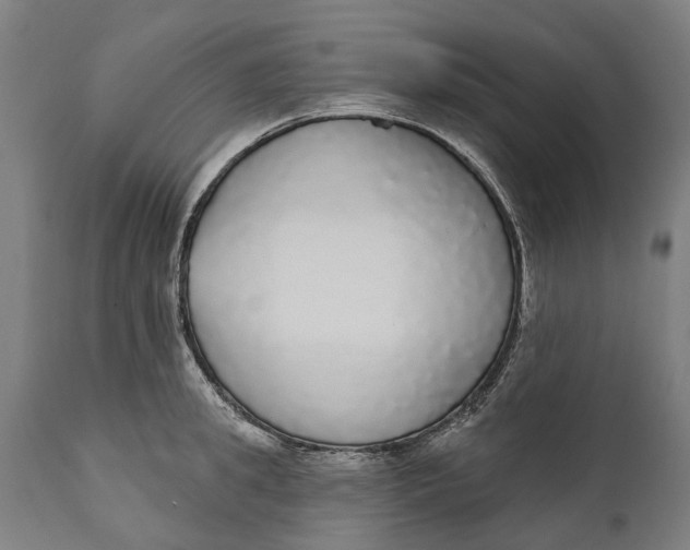 X0000111590949200908061346