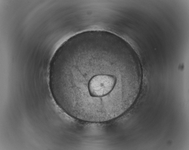 X0000111590950200908061346