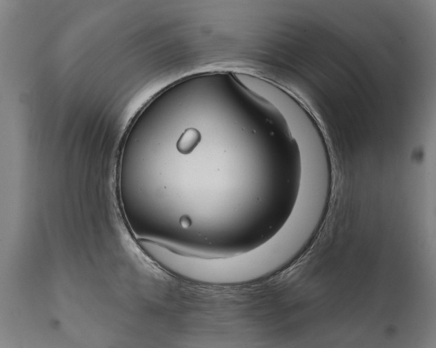 X0000111590952200908061346