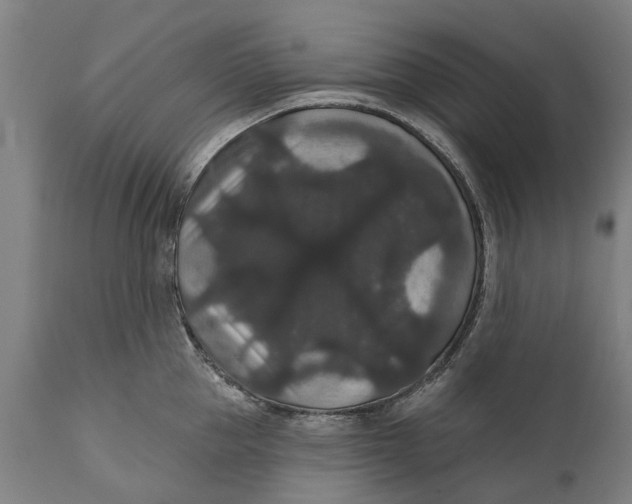 X0000111590953200908061346