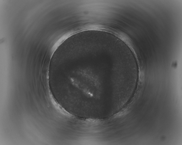 X0000111590954200908061346