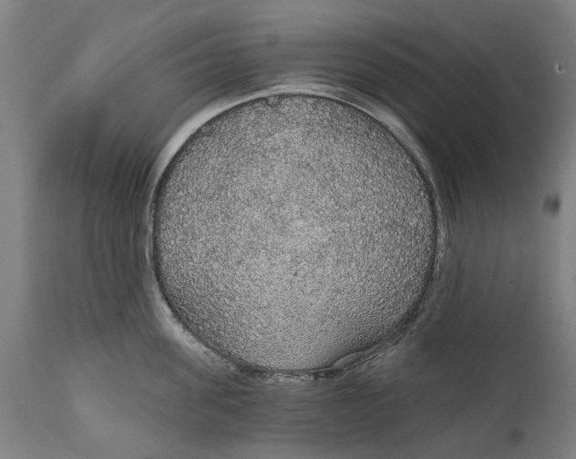 X0000111590955200908061346