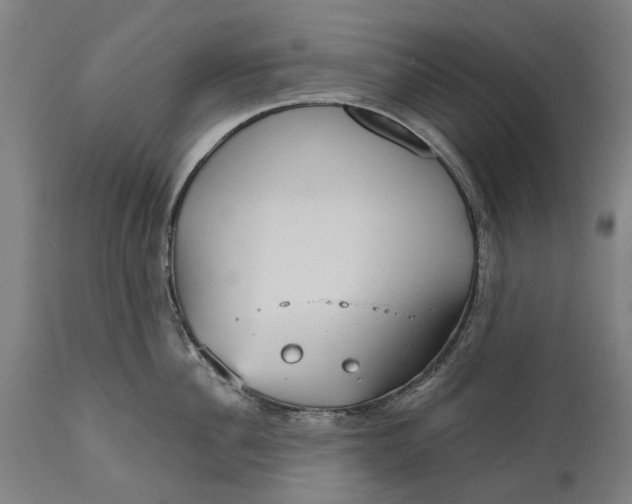 X0000111590956200908061346