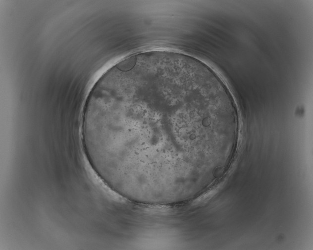 X0000111590957200908061346