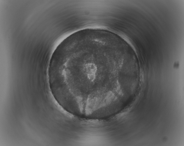 X0000111590959200908061346