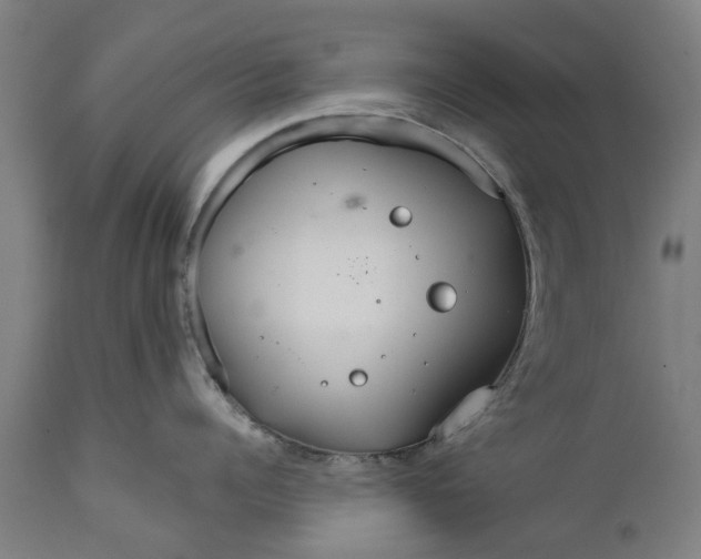 X0000111590960200908061346