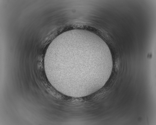 X0000111590964200908061346