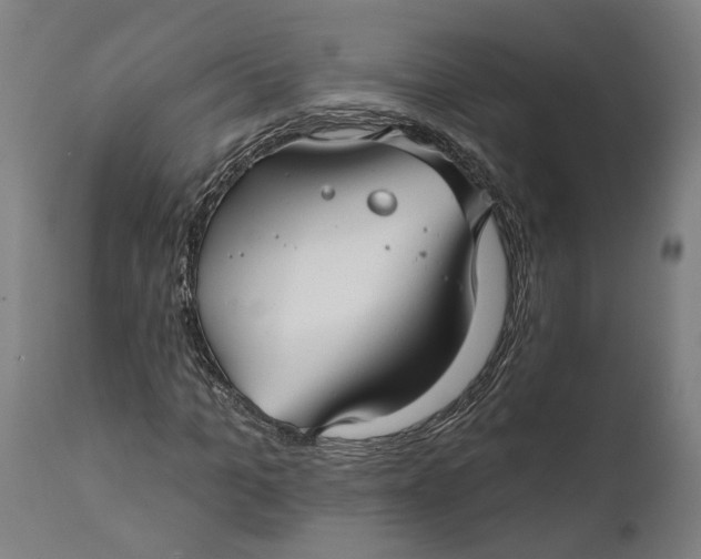 X0000111590965200908061346