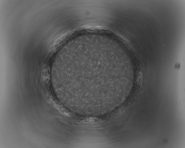 X0000111590966200908061346