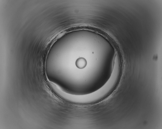 X0000111590969200908061346