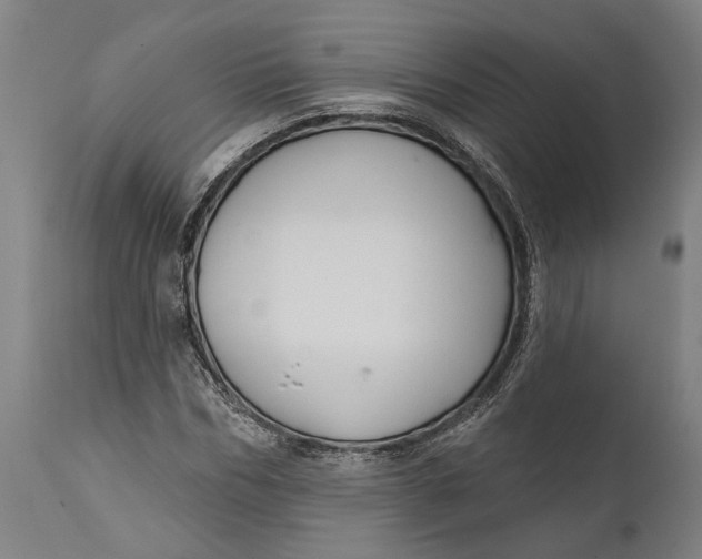 X0000111590970200908061346