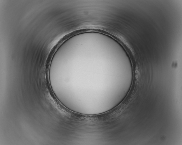 X0000111590972200908061346