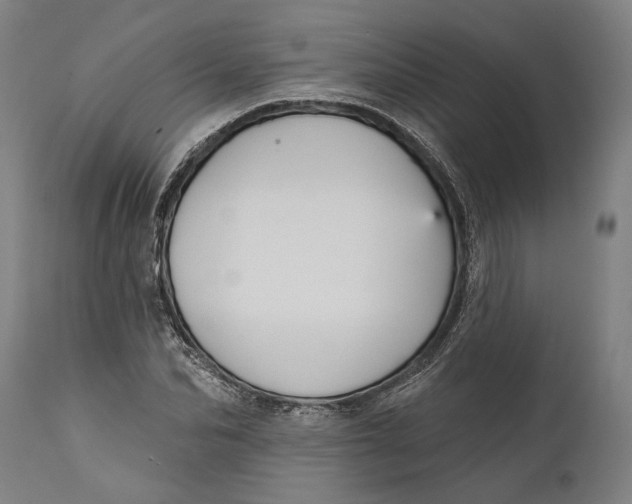 X0000111590974200908061345